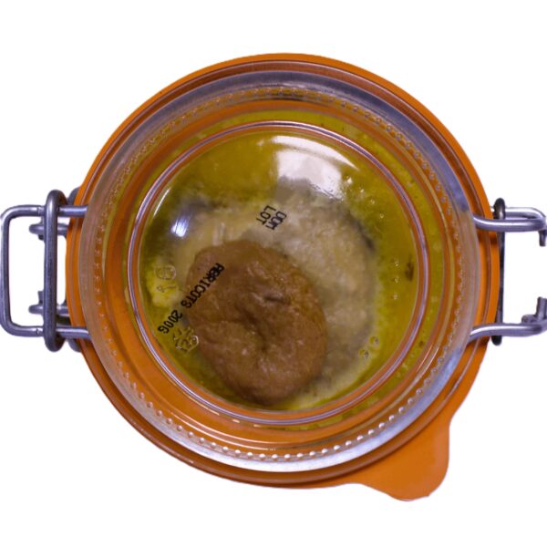 Ganze Leberpastete mit getrockneten Aprikosen – Bild 2