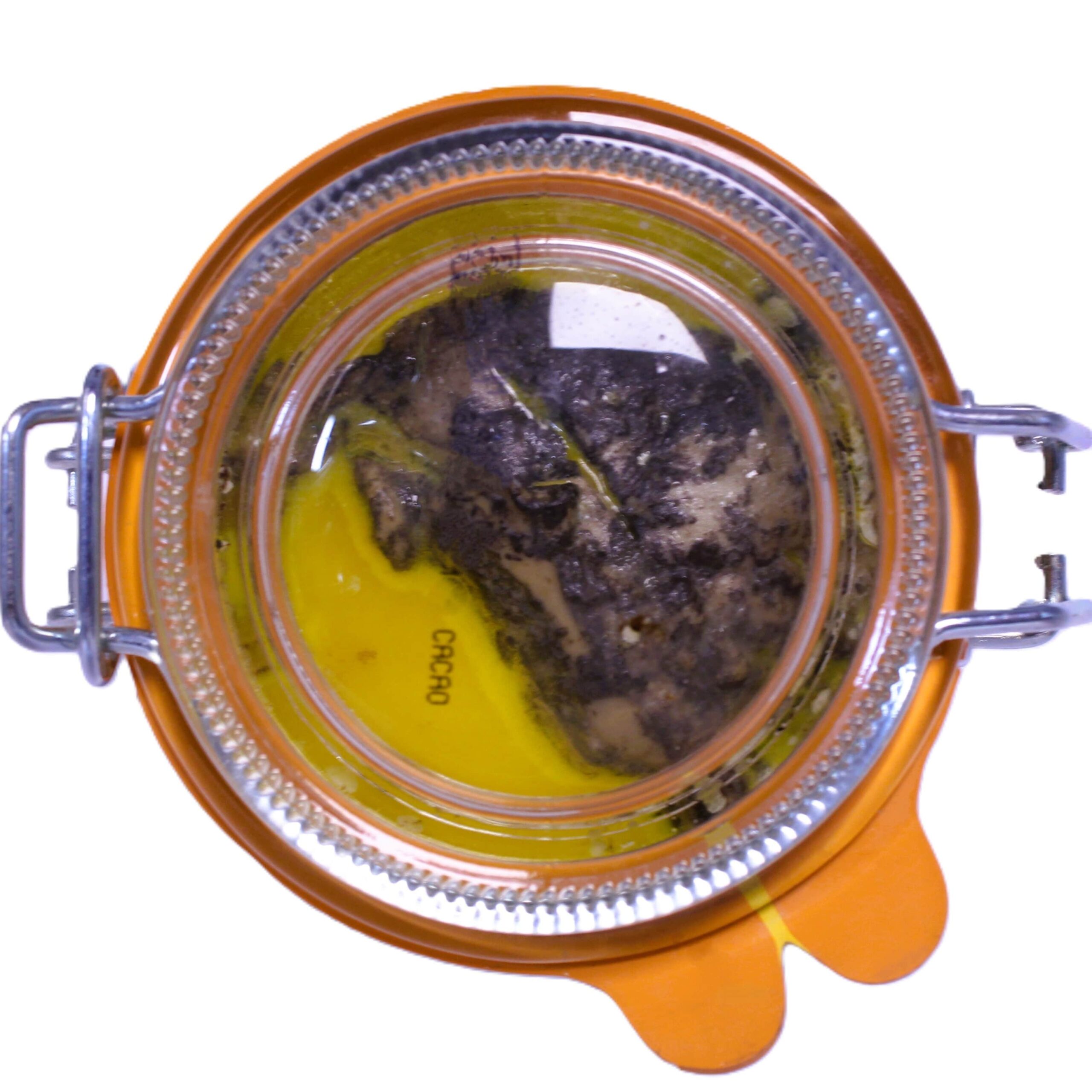 Foie Gras Entero con Cacao Sutil - Imagen 2